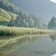 Rundwanderung Lecknertal – Rohnehöhe ab Hittisau