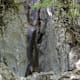 Rundweg um den Jainzen (Hohenzoller Wasserfall)