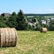 Saar-Hunsrück-Steig - Etappe 16: Von Rhaunen nach Sohren (Nord)