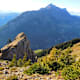 Schibegütsch