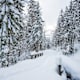 Winterwanderung zur Schwarzachenalm bei Ruhpolding