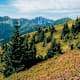 Schwarzbeeralm und Großer Schober