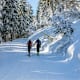 Skitour auf die Sonnalm