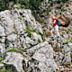 Springlessteig und Wagnersteig (A)