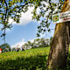 Stanzer Sonnenweg