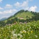 Gemütliche 2-Tagestour am Imberg bei Oberstaufen