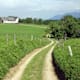 Stodertaler Panorama-Runde