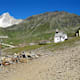 Romediusweg, Etappe 7: Von St. Martin am Schneeberg nach Pfelders