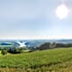 Donausteig-Nordroute, Etappe 8: Von Ottensheim nach Linz