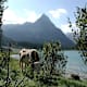 Themenweg Schlierersee