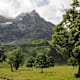 Enger Grund und Ahornboden