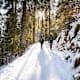 Winterwanderung zum Freibergsee