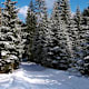Vom Gsiesertal auf die Kradorfer Alm