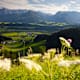 Wanderung von Kössen zum Taubensee und Taubenseehütte