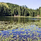 Vorderstoder - Windhagersee