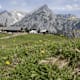 Wanderung zur Walderalm von St. Michael