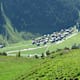 Walserweg - Etappe 2: Bürserberg-Matin zur Alpe Gamperdona