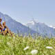 Rundtour Turmbichl bei Igls