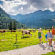 Wandererlebnis „Alles Alm“