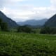 Meditationsweg Ammergauer Alpen - Etappe 4: Über den Grottenweg zum Benediktinerkloster Ettal