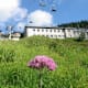 Ötscher-Rundwanderweg - Etappe 3: Von Lackenhof zur Gemeindealpe