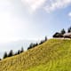 Von Planken zur Gafadura-Hütte