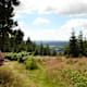 Wanderung - über den Gebrannten Stein zum Veilchenbrunnen - Zella-Mehlis - Thüringer Wald