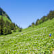 Bergtour - Scheinbergjöchl (Kessel-Rundweg Hasental)