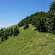 Toggenburger Höhenweg Etappe 5: Berggasthaus Chruezegg - Hulftegg