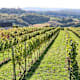 Weinweg der Sinne in St. Anna am Aigen