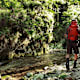 Via Sacra - Etappe 4 - Variante B: Türnitz - Falkenschlucht - Mariazell
