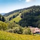 Bad Peterstal-Griesbach - Wiesensteig