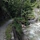 Wildenbachschlucht-Runde