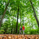 Traumschleife Wildnis-Trail