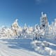 Stoneman Miriquidi Snow - vier Tage Langlaufen im Erzgebirge