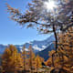 Engeloch - Wysse Bode- Simplon Dorf