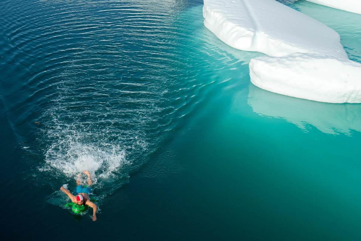 The Adventures of the Dodo