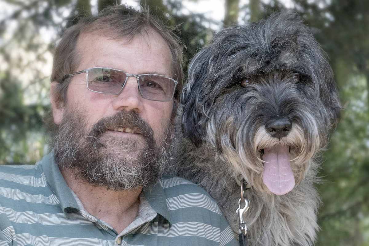 Zwei Schnauzer durchwandern die Schweiz