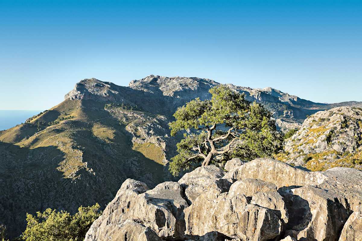 Das Puig-Roig-Massiv bietet traumhafte Panoramablicke auf die zerfranste mallorquinische Nordküste.