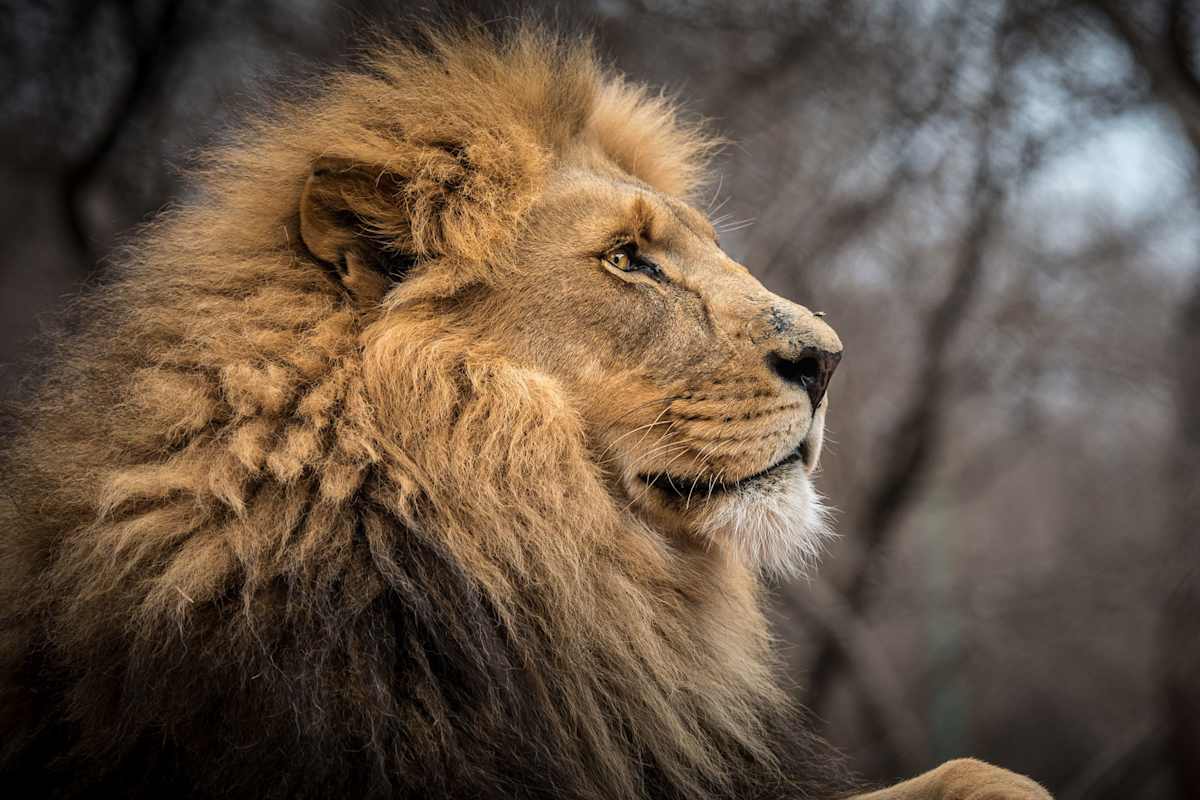 Reise Klettern in Südafrika