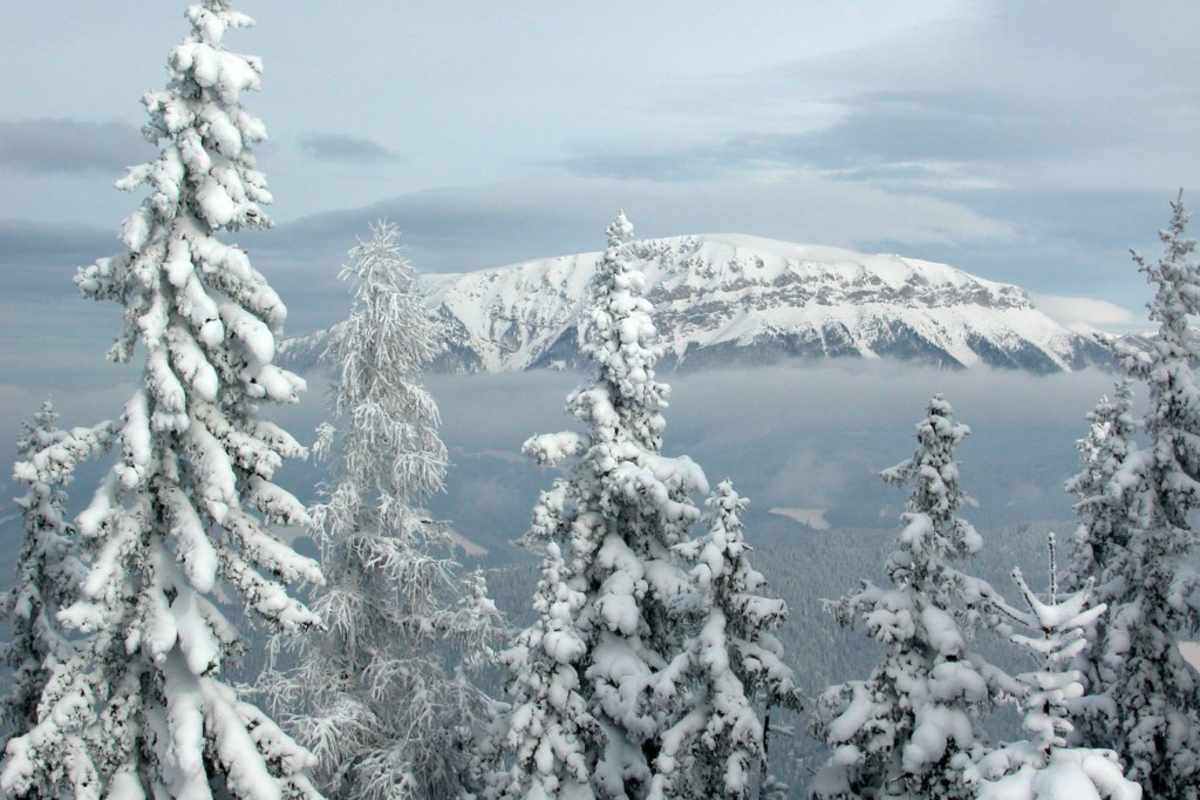 Aufstieg Kreuzschober/Mürzsteger Alpen