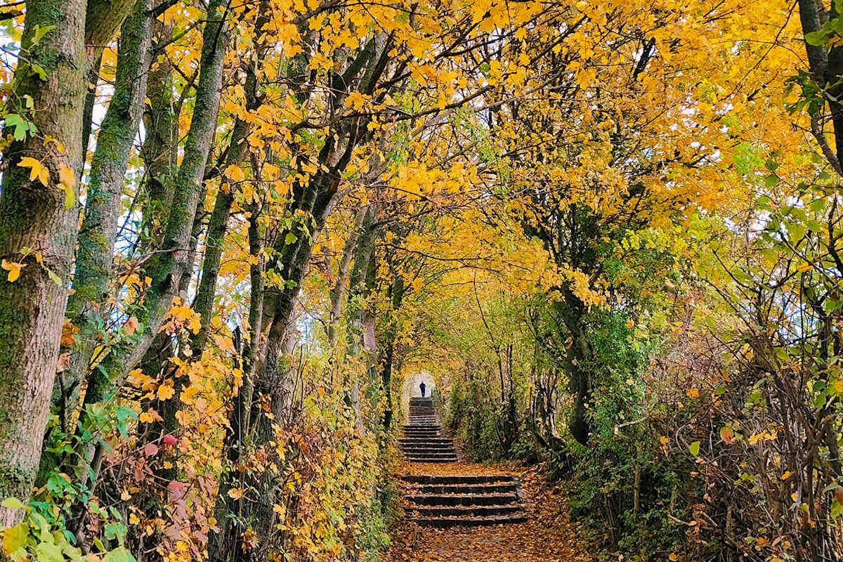 Das goldene Farbenspiel in der Dämmerung.
