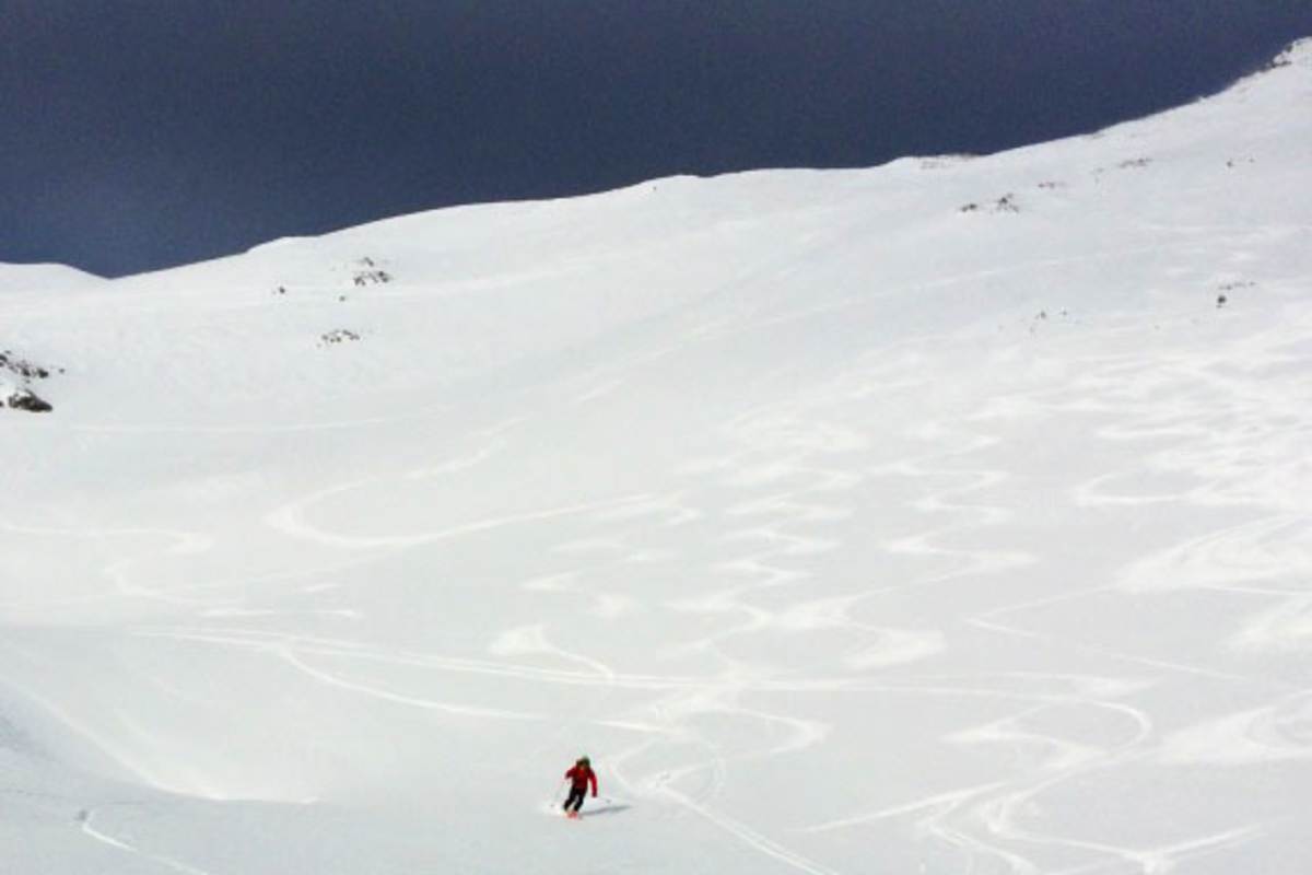 Gesäuse-Berge: Shippy bei der Abfahrt vom Scheiblingstein in den Haller Mauern