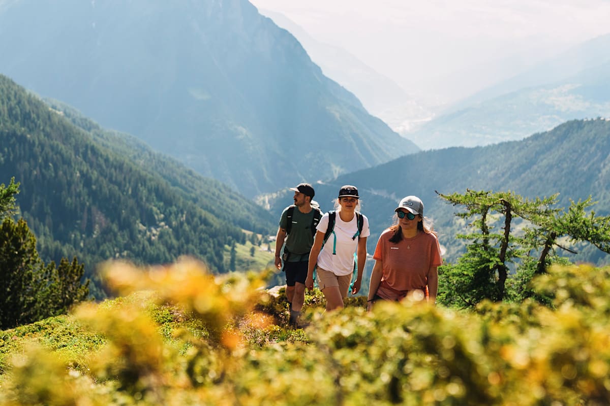 Drei Personen erwandern in der Schweiz die Berge im Sommer.