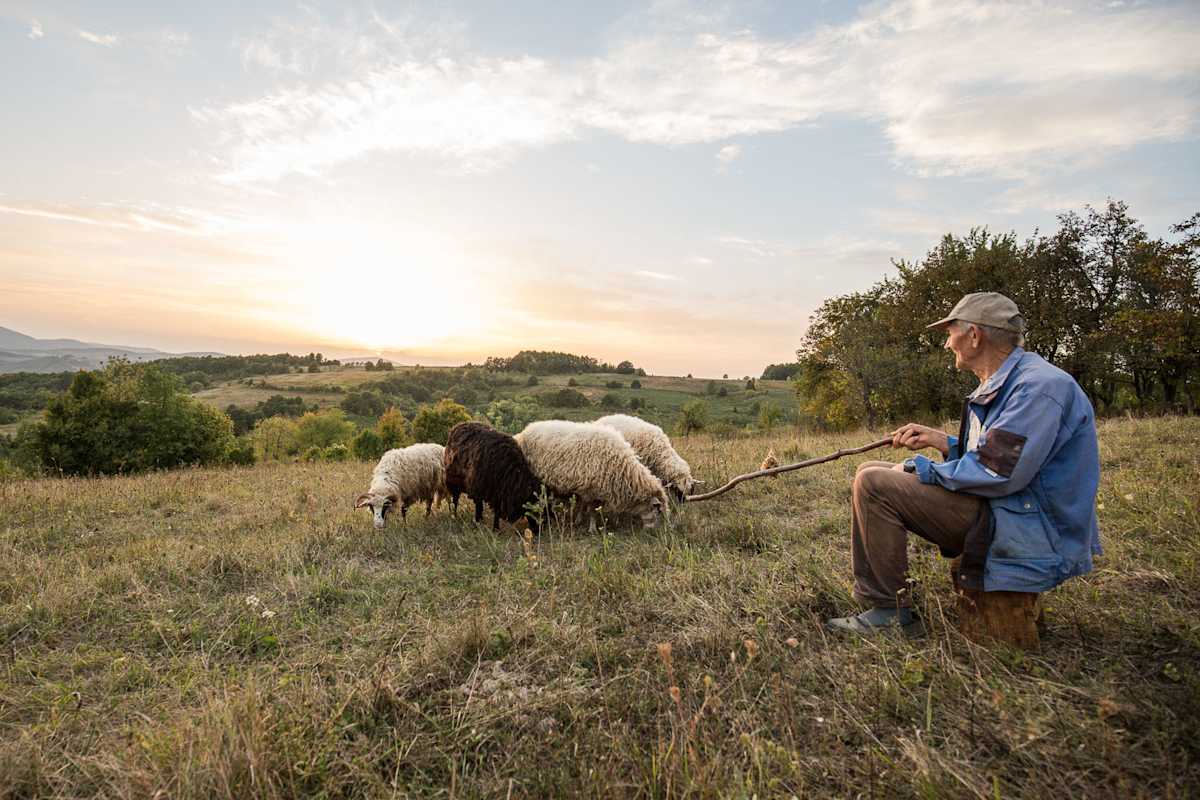 Klettern Banja Luka Schäfer Hirte