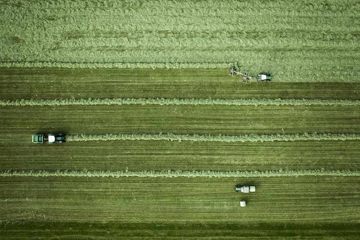 Heu Einfachren, Wiese, Weide
