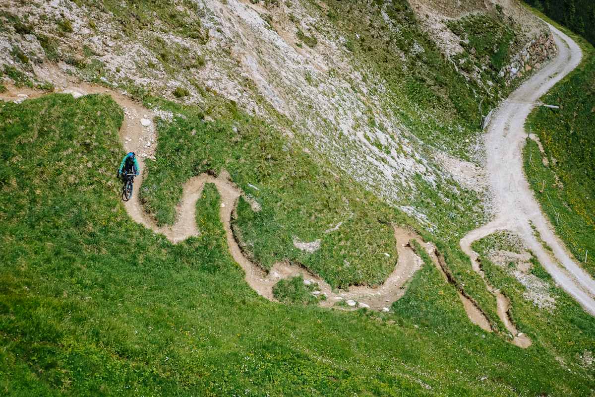 Wanderweg vs. Forstweg