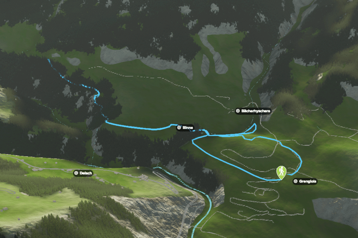 3D-Kartenausschnitt der Tulpenring-Wanderung bei Grengiols im Wallis