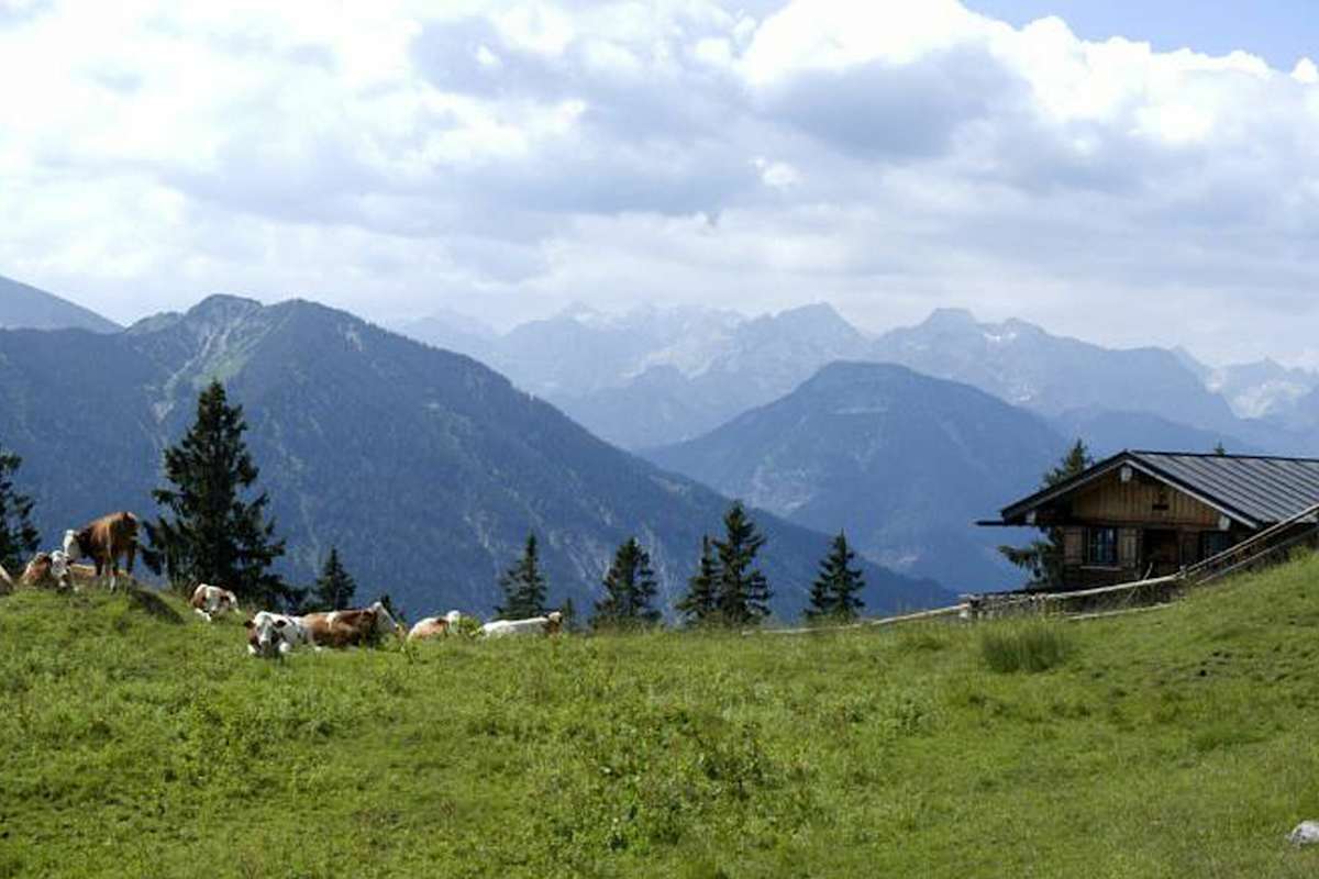 Sonnenaufgangstour: Auf die Staffelalm Haupt-Reiter
