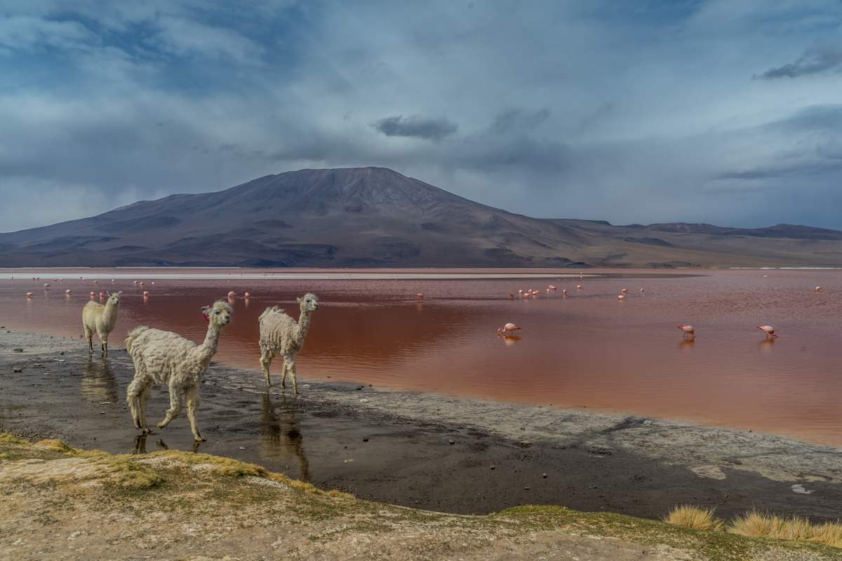 Salar de Uyuni Bolivien